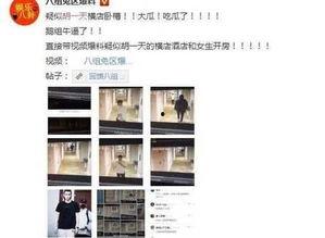 全国黑料爆料视频大全,视频大全背后的真相与争议